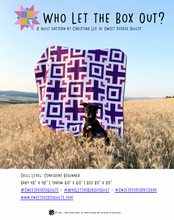 Load image into Gallery viewer, Who Let the Box Out? - PDF Pattern